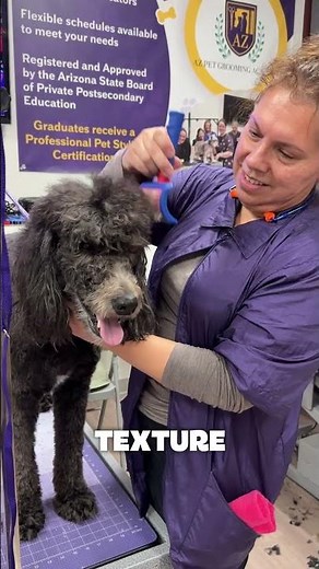 Why Hands-On Training Matters In Grooming School