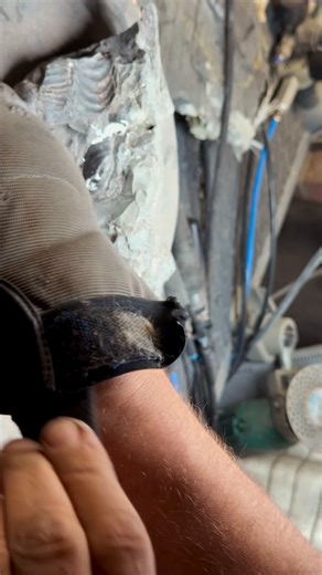 Aaron and Shae on Instagram: "Here’s an outstanding example of a Lytoceras Sp. Ammonite specimen that has been prepared by the Yorkshire Fossils Team, it is roughly 180 Million years old 😍🦕 The intricate details are truly something to behold! 🔬 For ammonite rocks to crack open, please visit our official online store yorkshirefossils.NET (link in bio) or message directly on Instagram @yorkshire.fossils 🦕 For more videos, check our YouTube / TikTok! 🏝 Thanks
