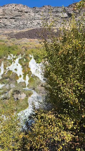 Niagara Springs at low flow. Just one of many hidden gems in Southern Idaho! . . . . . . #idahoexplored #travel #waterfalls_collective #waterfall #idahome #snakeriver | Jackson Hole Wild at Heart