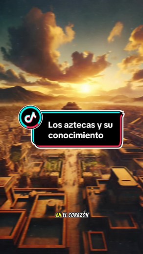 history9137 on TikTok