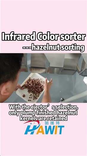 Infrared Color Sorter: Ensure every hazelnut is accurately sorted!