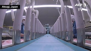 4.8K views · 45 reactions | Japanese condom makers are ramping up for a potentially unrivalled marketing opportunity at the 2020 Olympic Games, where hundreds of thousands of condoms are traditionally distributed free to competitors, a golden opportunity for local manufacturers to introduce customers to what they consider their winning innovation: the ultra-thin 0.01mm condom. | AFP News Agency | Facebook