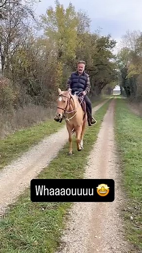 97 reactions · 9 comments |  Colt Starting  Après exactement 4h40...