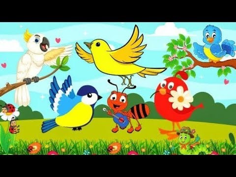 5 Chote ToTe || Hindi nursery Balgeet 💕🌈|| पाँच छोटे तोते Hindi poem||