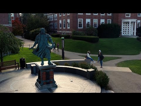 The BC Law Experience