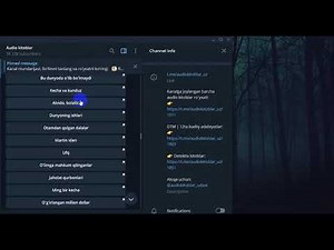 Audio kitoblar haqida