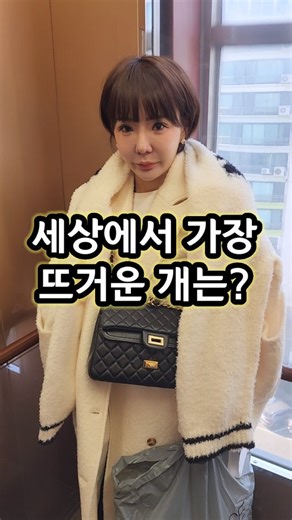 써니윤 아재개그 웃긴영상 재밌는영상 웃으면복이와요 퀴즈 넌센스퀴즈 유머 웃길때까지한다 인생이시트콤 부부 전주맛집 on Instagram: "세상에서 가장 뜨거운 개는? #아재개그"
