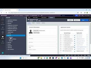 Pega PRPC Report Definition - Display filters using custom section