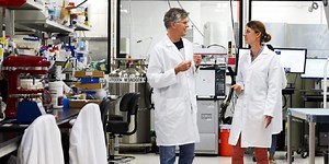 Impossible Foods will double R&D to eliminate animal farming