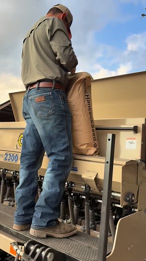 16 reactions | It ought to be a crime to look THAT sharp planting fall cover crop  #hubby #regenerativefarming #covercrop #notilldrill #sandersheritagefarms | Sanders Heritage Farms LLC | Facebook