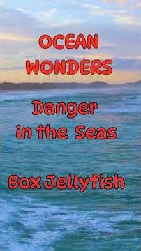 10 Shocking Facts About Box Jellyfish! #facts #marinemystery #animalfacts #10facts