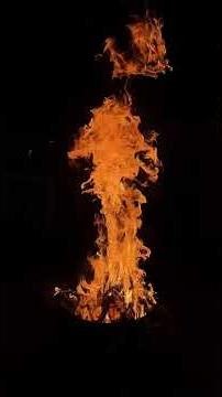 ÁRBOL QUE NO DE FRUTO #amor #vidaeterna #reflexion #jesus #frutodedios #paz #fe #vida