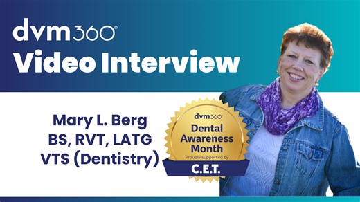 5 practical tips to improve efficiency and safety in veterinary dental procedures | dvm360