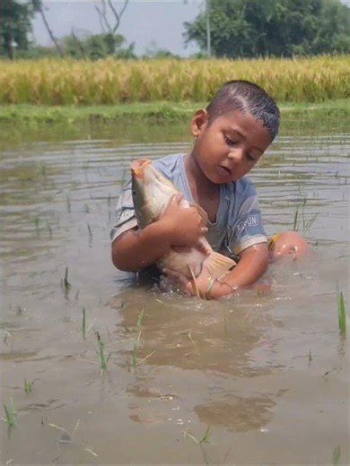 Small Kid Hunting Fish in Flooded Field #fishing #fish