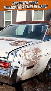 FORGOTTEN Dodge Monaco First Start in Years! | Dylan McCool