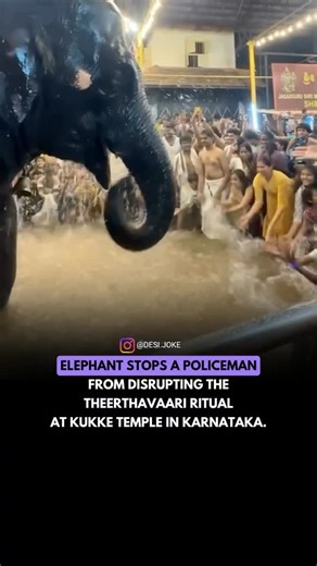 Desi Joke on Instagram: "Elephant Stops a Policeman From Disrupting The Theerthavaari Ritual At Kukke Temple in Karnataka 🎥 : @i.mangaluru"