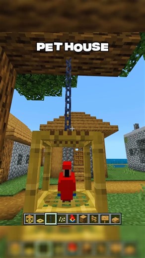 Pet House in Minecraft #shorts