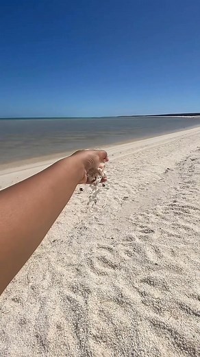268K views · 4K reactions | A beach made up entirely of trillions of...