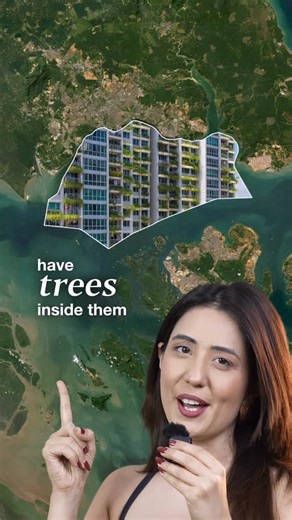 Tanya Khanijow on Instagram: "Can you guess the country? I’ve revealed the name in the end! This is widely known as the greenest city in the world with very low levels of air and water pollution and a ton of urban green spaces incorporated in the cityscape. 1. The population density of this country is really high! It’s 8000+ people/km²! 2. Their waste disposal and water recycling is really advanced. 3. Rules and fines are heavily imposed. 4. Buying a car is actually so expensive that almost no o