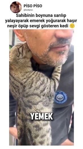 The affection I expect from cats