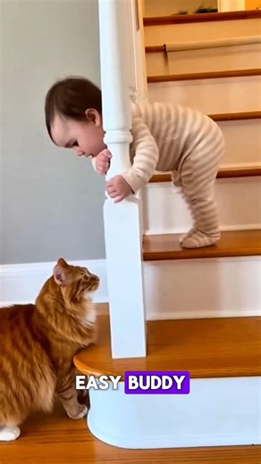 Unexpected Cat Rescue on Stairs #cat #adoreble #viralvideo