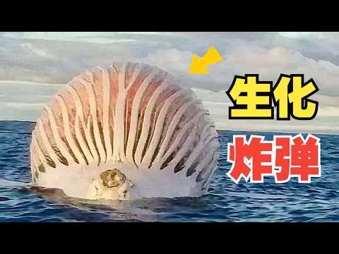 The Stunning Explosion of a Whale: A Documentaries 'Predators: The Blast Site'