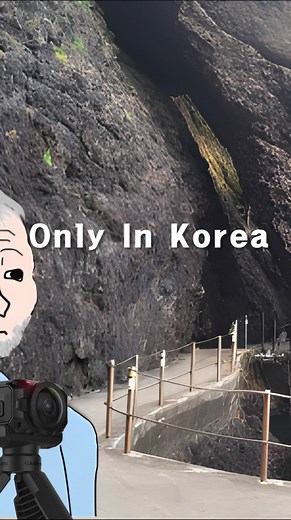 울릉도 죽도 카카오맵 로드뷰의 놀라운 비밀: 골든 리트리버 '마루'