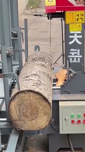 Machine Slice a Log into Stunning Long Tree Discs