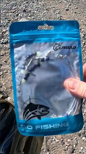 1 up, 1 down 2 hook flapper #elite #fishing #fishinglife