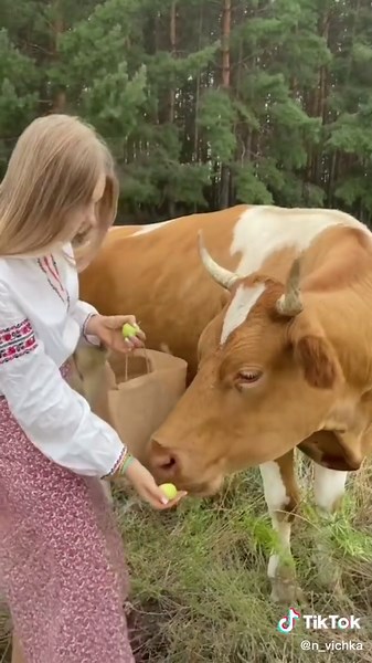 Здесь моя душа спокойна ❤️🌞