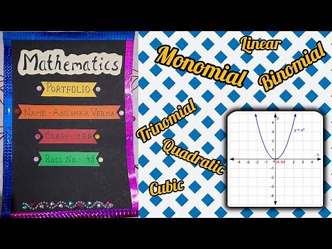 Maths Portfolio Class 10 | Chapter 2 Polynomials