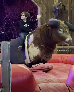 Monkey’s riding the bull 😂 | Monkey’s Creations