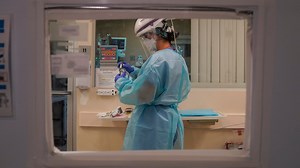 How many variants of the coronavirus are there?