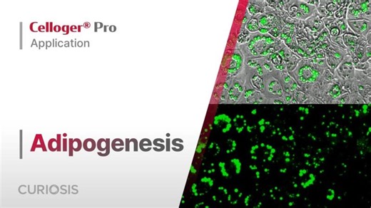 Celloger® Pro Application I Adipogenesis | Cosmo Bio USA