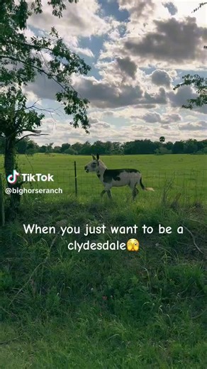 James Milner (@j.milner3)’s videos with original sound - James Milner