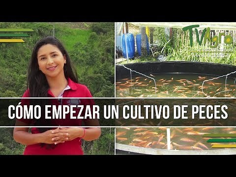 How to Start a Fish Farm - Fish Farming - TvAgro by Juan Gonzalo Angel