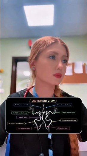 Brain Arteries - Brain MRA 🧠