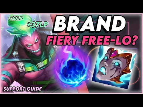 The ONLY Brand Support Guide You’ll EVER NEED! - Easily Reach Masters!