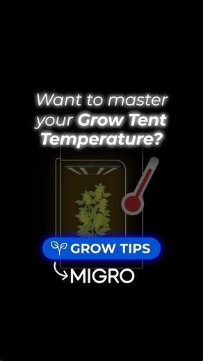 Perfect grow tent temperature range!