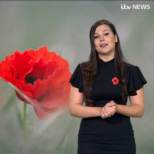 Katerina Christodoulou explains the history of the poppy and why we wear them | ITV London