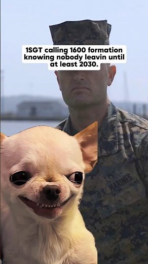 COB formation | #militarylife #shorts