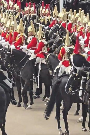 HOUSEHOLD CAVALRY IN ORDER #troopingthecolour