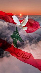 🕊️🇱🇧 | Mario Bassil