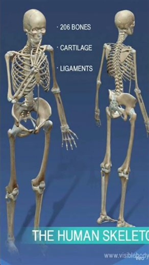 #youtb ki duniya😀#shorts #youtubeshorts #trending #viral