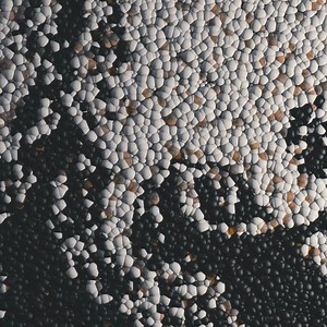 18K views · 434 reactions | It blows my mind we’re coming up on five...