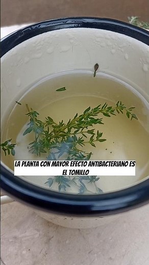 6 medicinal plants and their unique benefits 🌿✨ #MedicinalPlants #NaturalRemedies