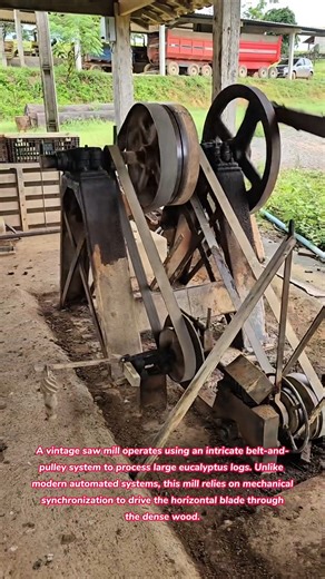 ​Old School Engineering: Processing Huge Logs 🪵⚙️ #vintage #technology #how #sawmill #woodworking