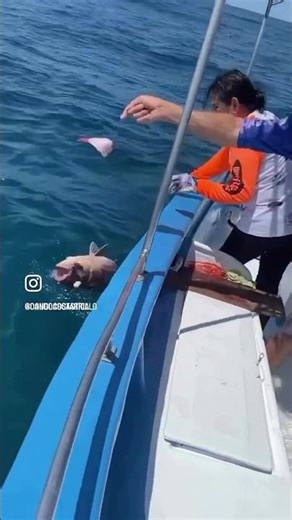 Fishing costa rica Book with @douglascastrillo +506 8319-9009 ‪@candocostarica‬