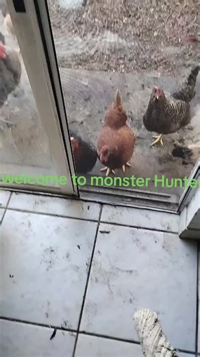 Fighting Anjanath in Monster Hunter Guides and Tips