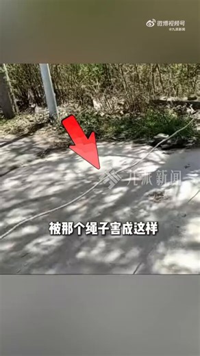 难怪一开始，媒体对老人的性别语焉不详；难怪一开始，母检法没抓人果然，在路上拴绳的是国女！好事不提男，坏事不提女！墙国的媒体和母检法真是太爱女了想淡化影响，帮国女轻拿轻放以后这类恶性事件，媒体没写明性别，一律当做女性要怪就怪女权媒体把路走窄了国女是干一行毁一行，女的不行